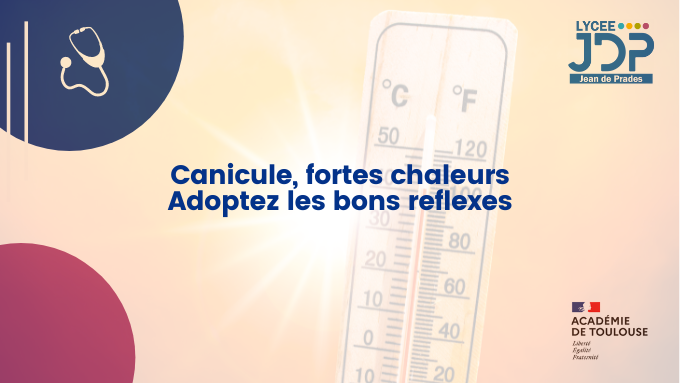 ENT_CANICULE.png