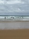 Galerie photo 